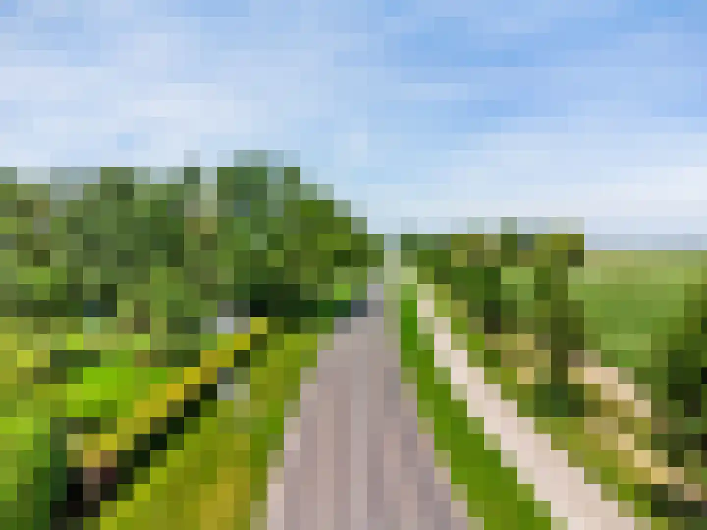 Zuidwesterringweg 3 1 Nagele thumbnail 66