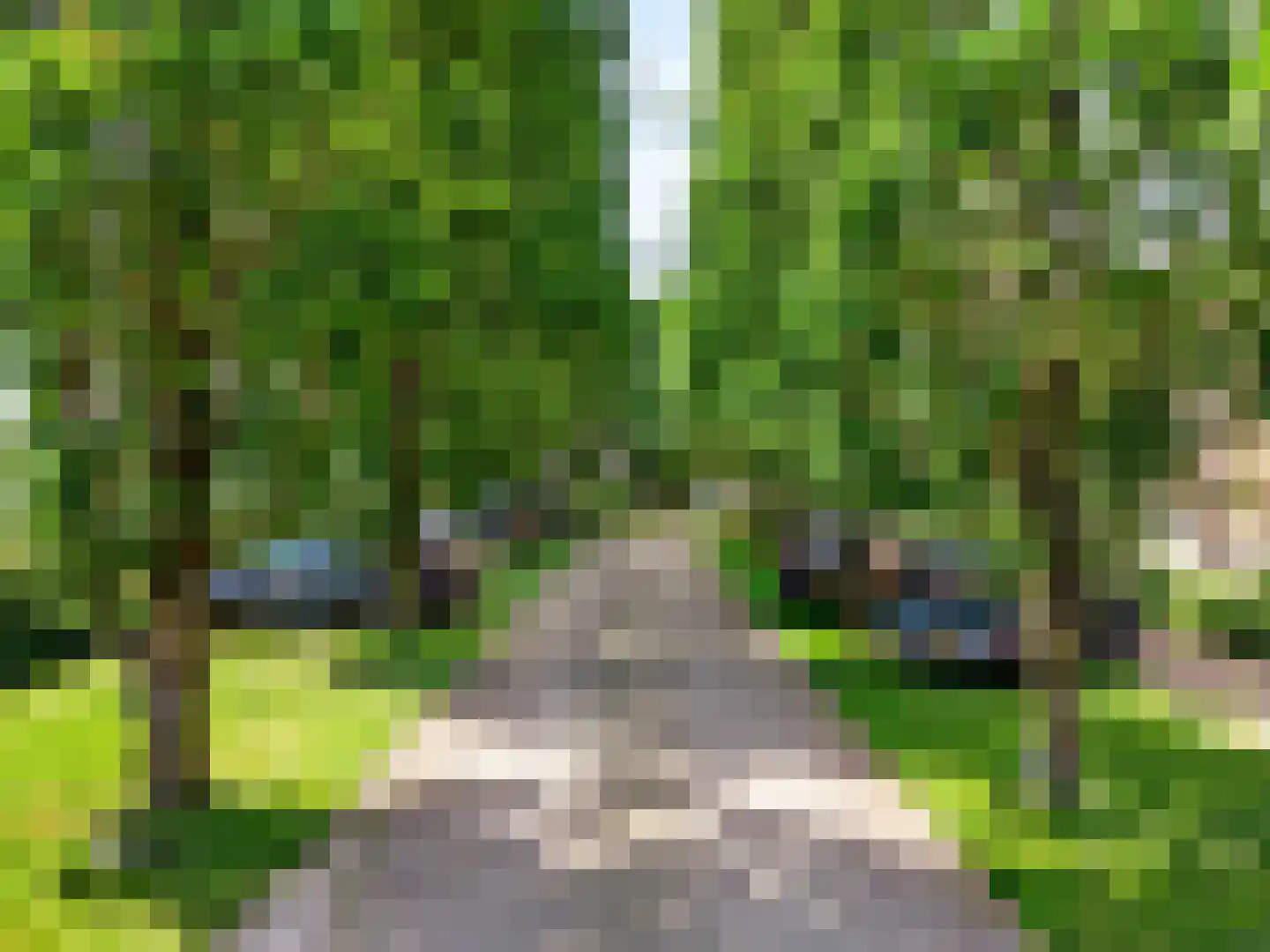 Zuidwesterringweg 3 1 Nagele thumbnail 7