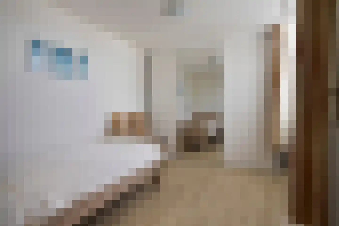 Zuidwesthoekstraat 1 Balk thumbnail 11