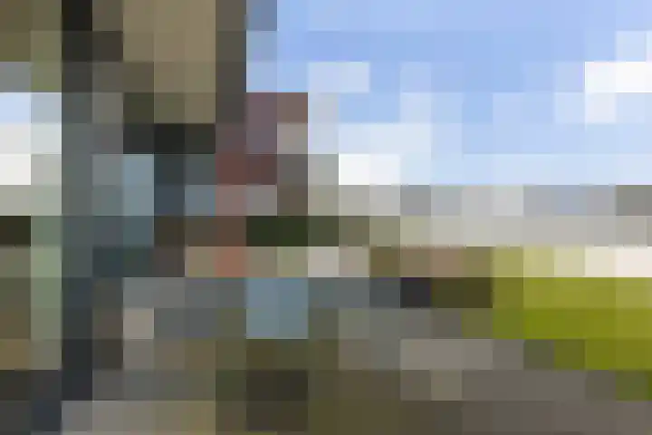 Zuidwesthoekweg 11 Sneek thumbnail 33