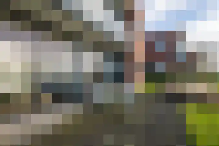 Zuidwesthoekweg 11 Sneek thumbnail 57