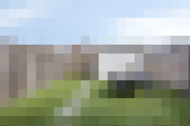 Zuidwiek 8 Etten-Leur thumbnail 21