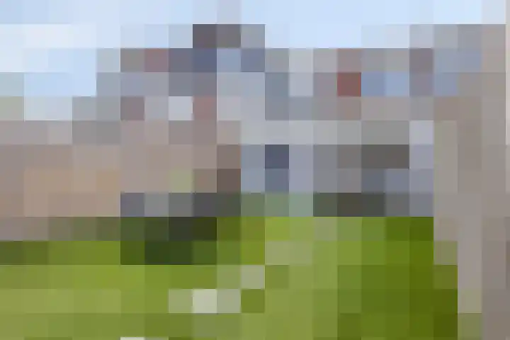 Zuidwiek 8 Etten-Leur thumbnail 22