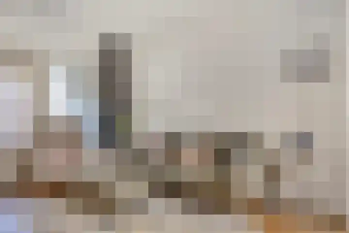 Zuidwiek 8 Etten-Leur thumbnail 6