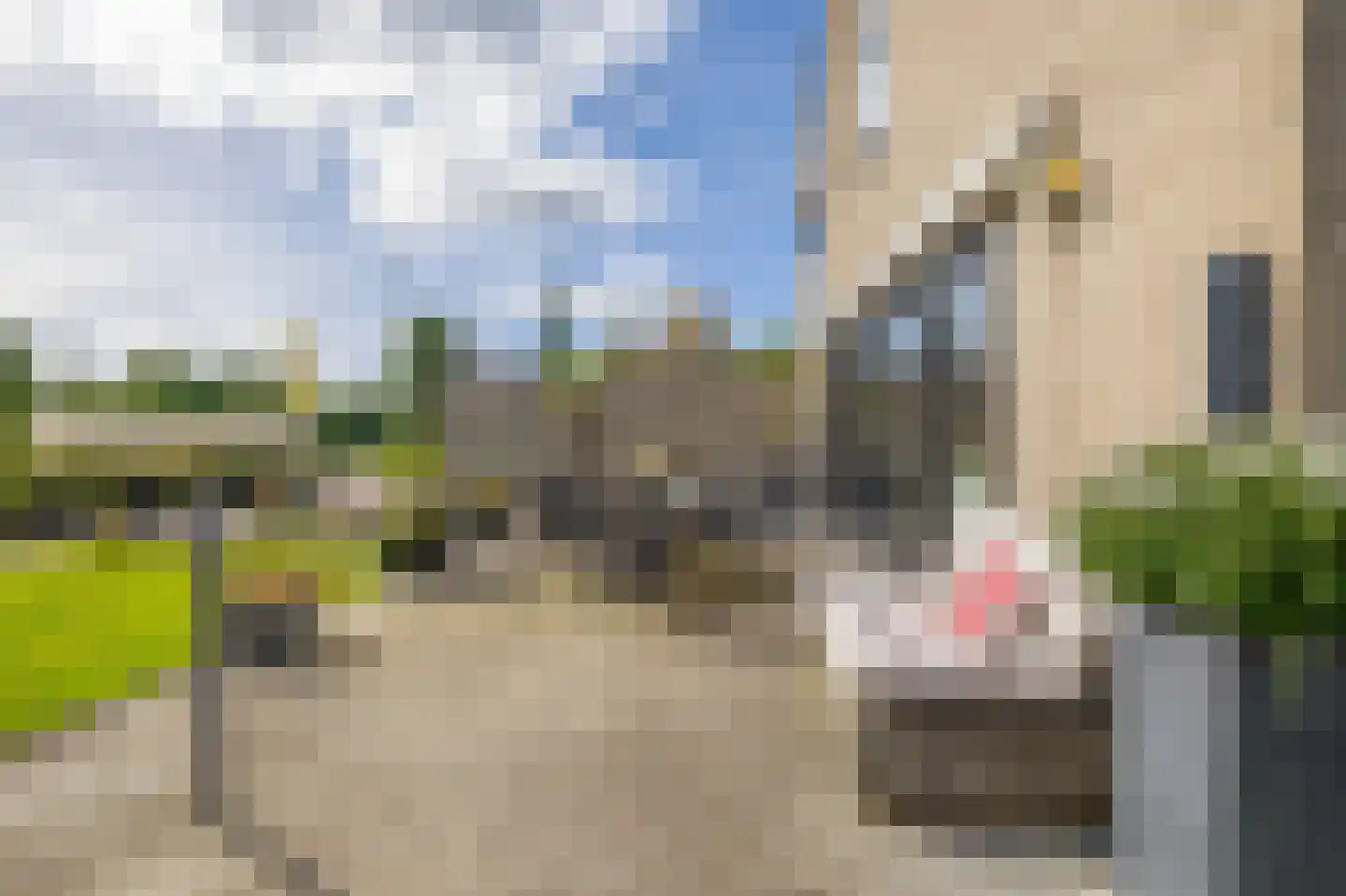 Zuidwijk 14 Boskoop thumbnail 11