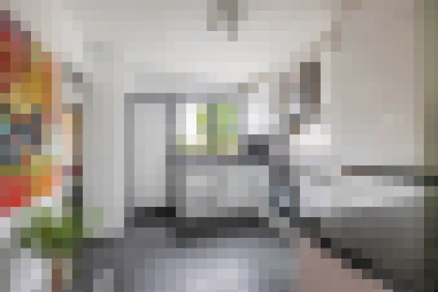 Zuidwijk 14 Boskoop thumbnail 19
