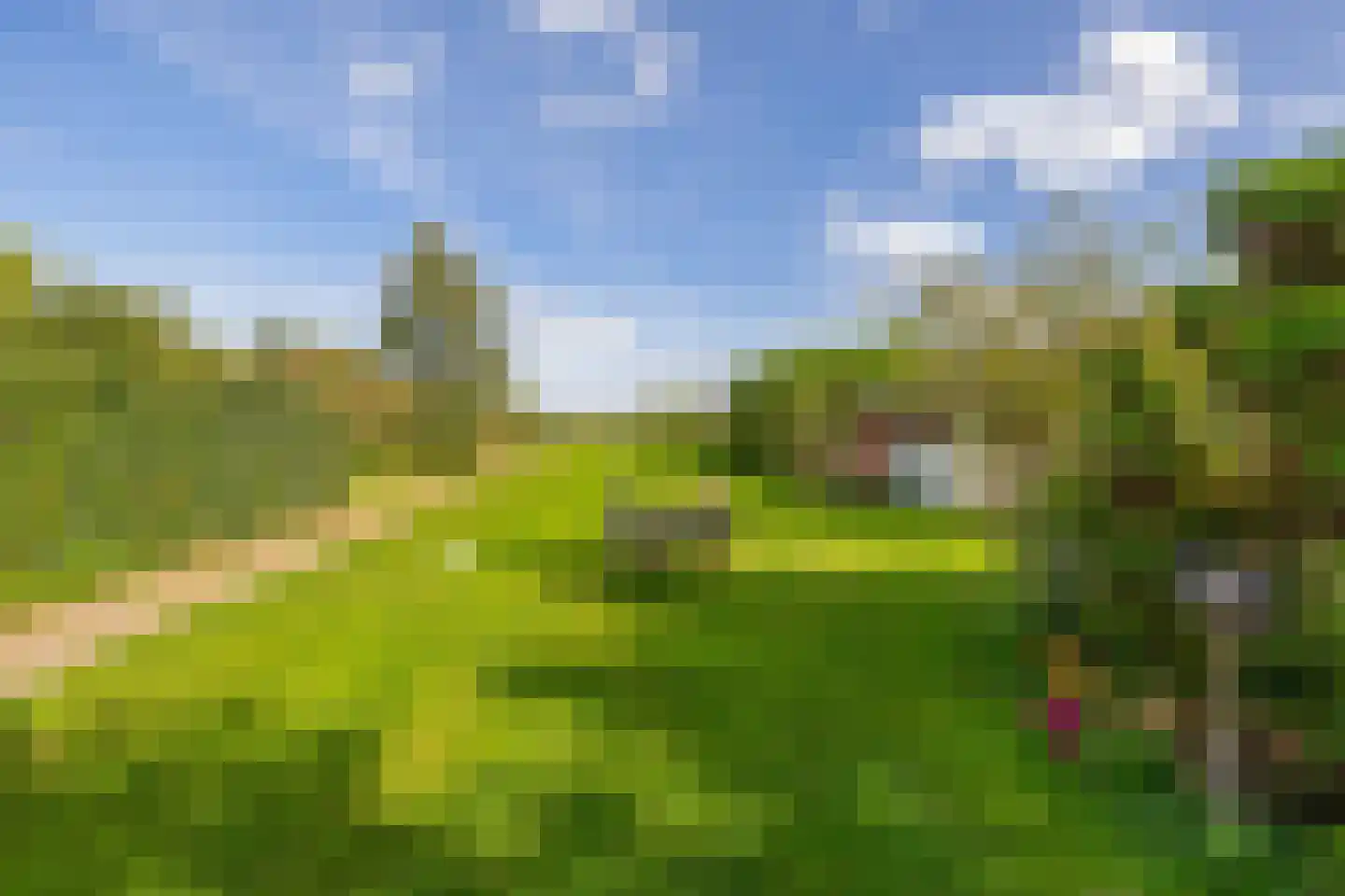 Zuidwijk 14 Boskoop thumbnail 30