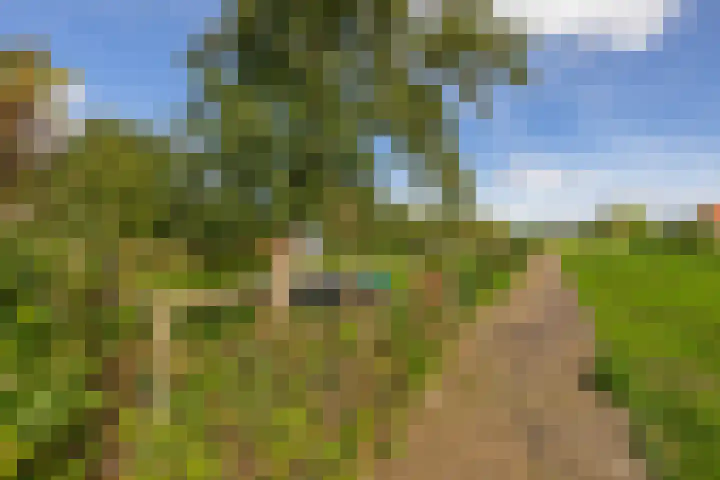 Zuidwijk 14 Boskoop thumbnail 33