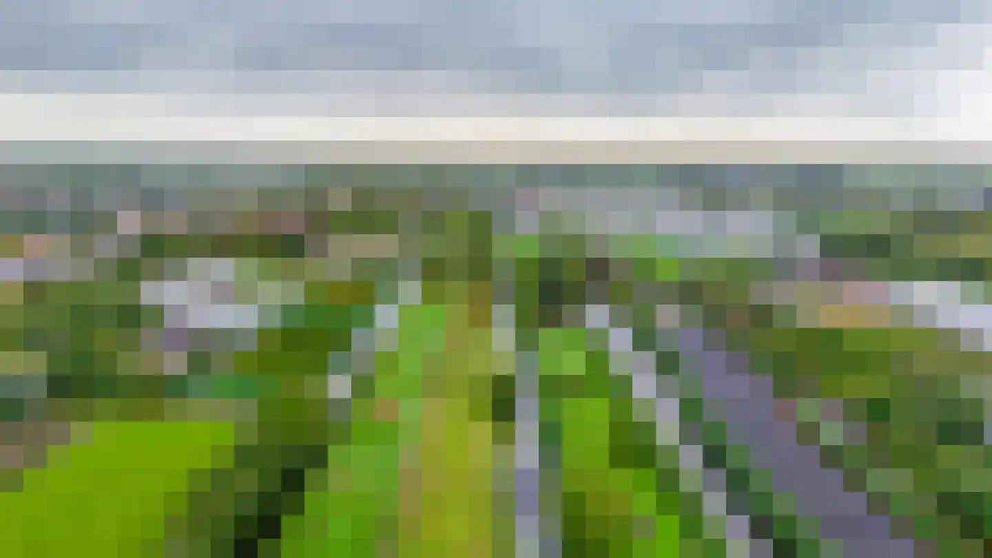 Zuidwijk 14 Boskoop thumbnail 34