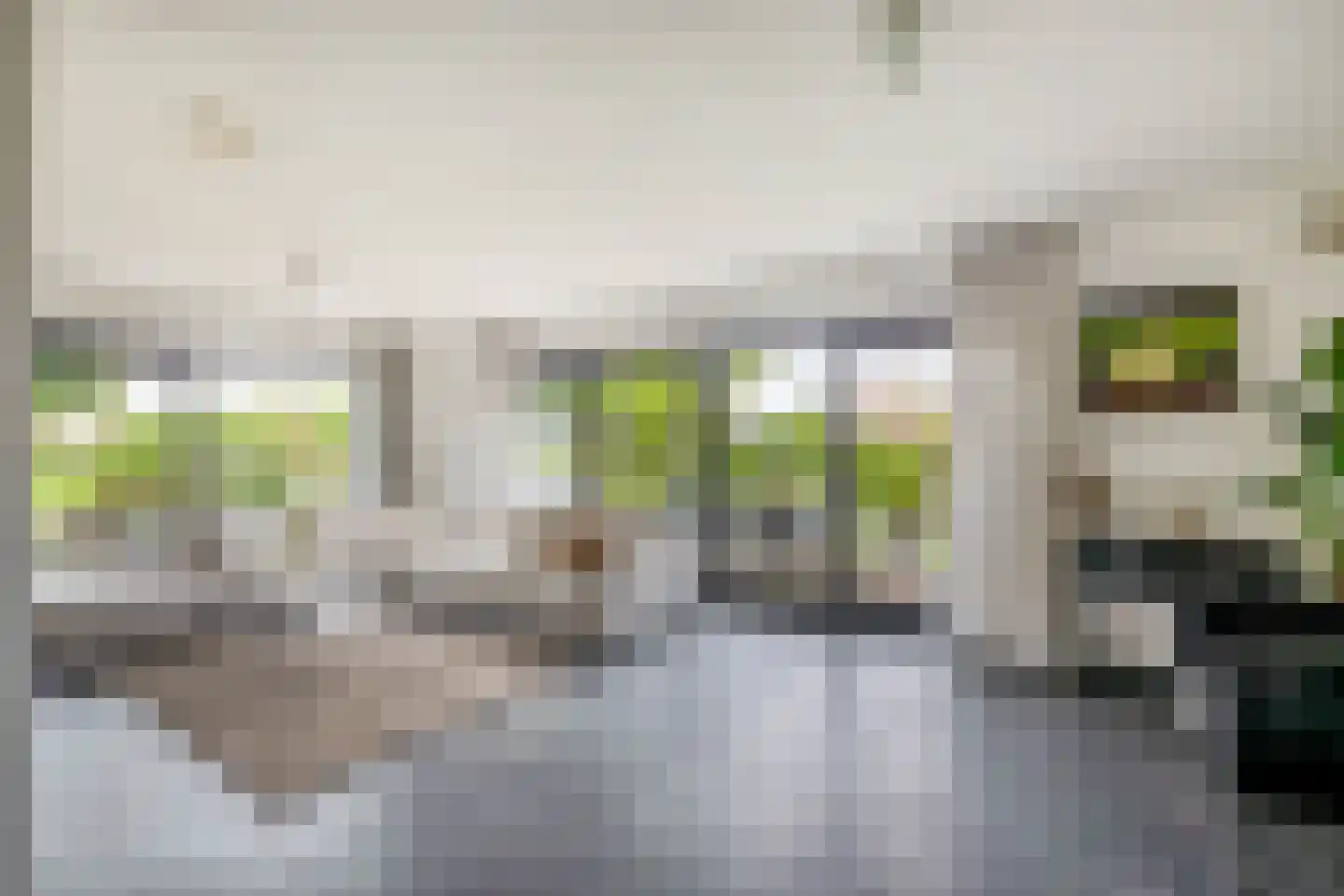 Zuidwijk 14 Boskoop thumbnail 9