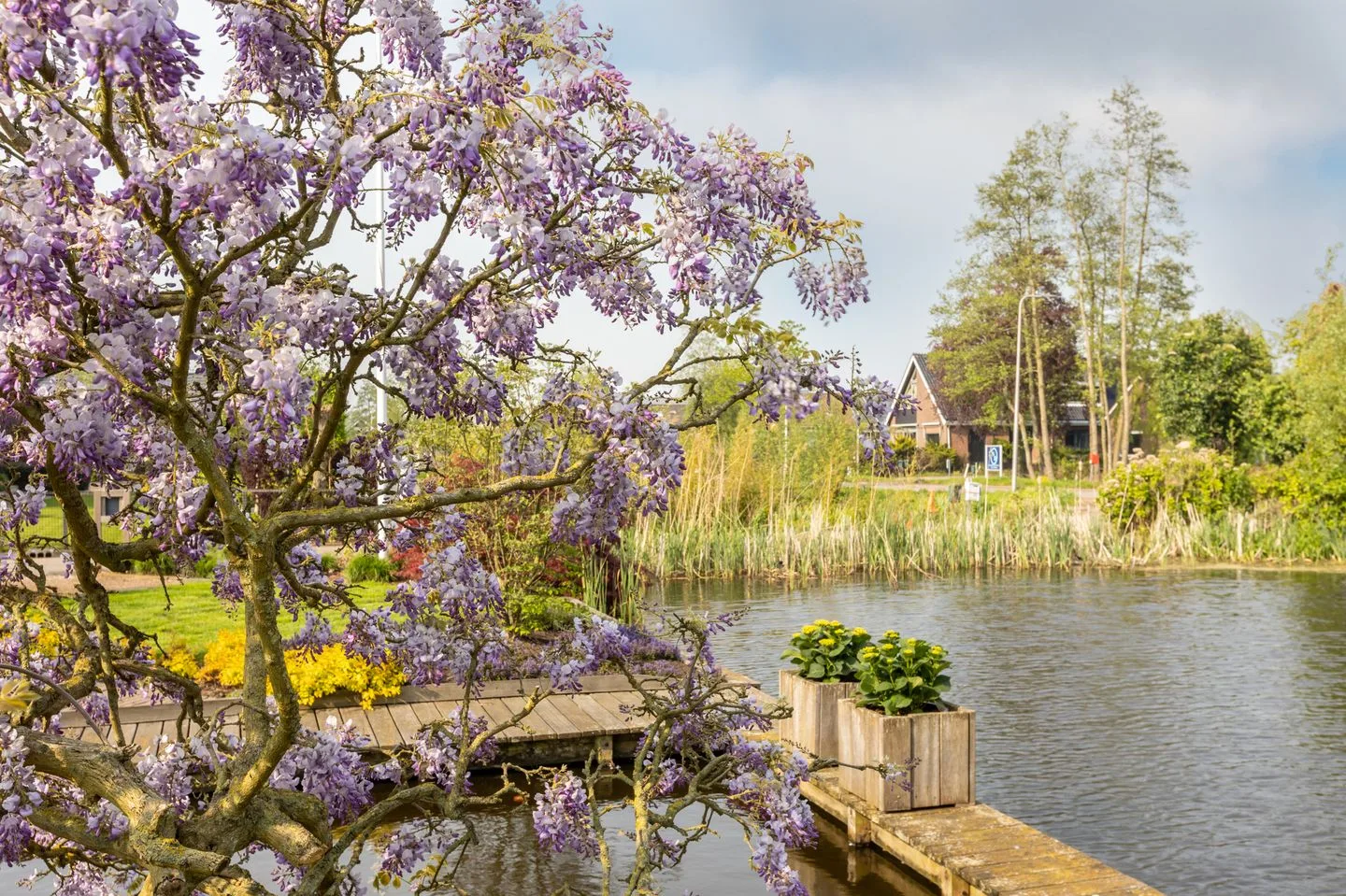 Zuidwijk 29 Boskoop thumbnail 42