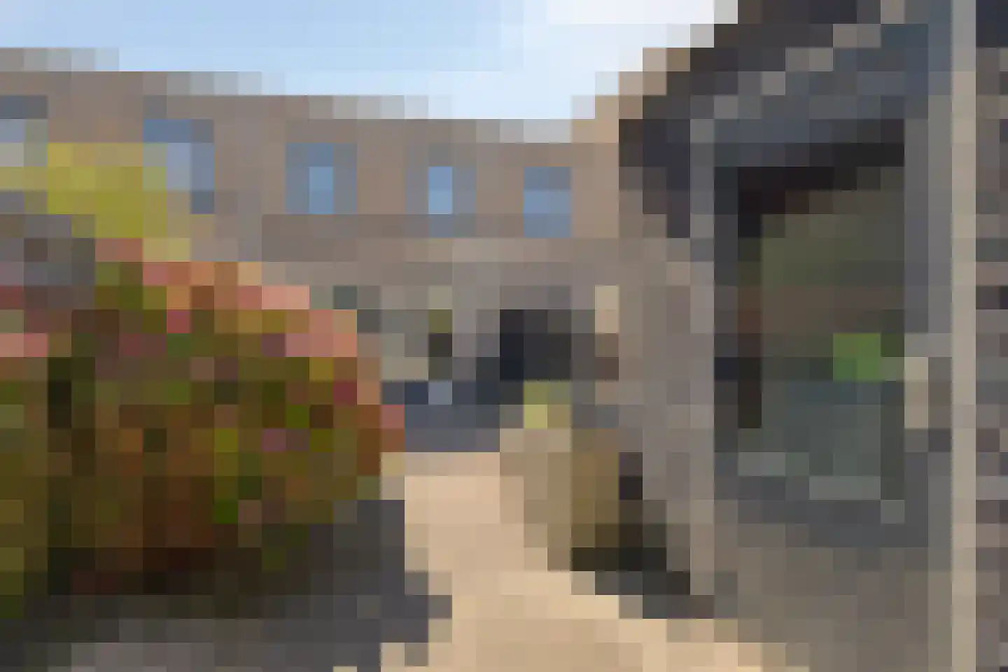 Zuidwijkring 108 Heerhugowaard thumbnail 23