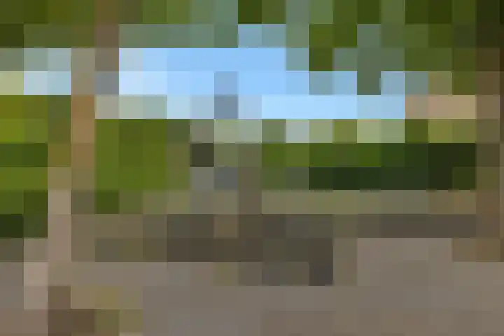Zuidwijkring 110 Heerhugowaard thumbnail 37