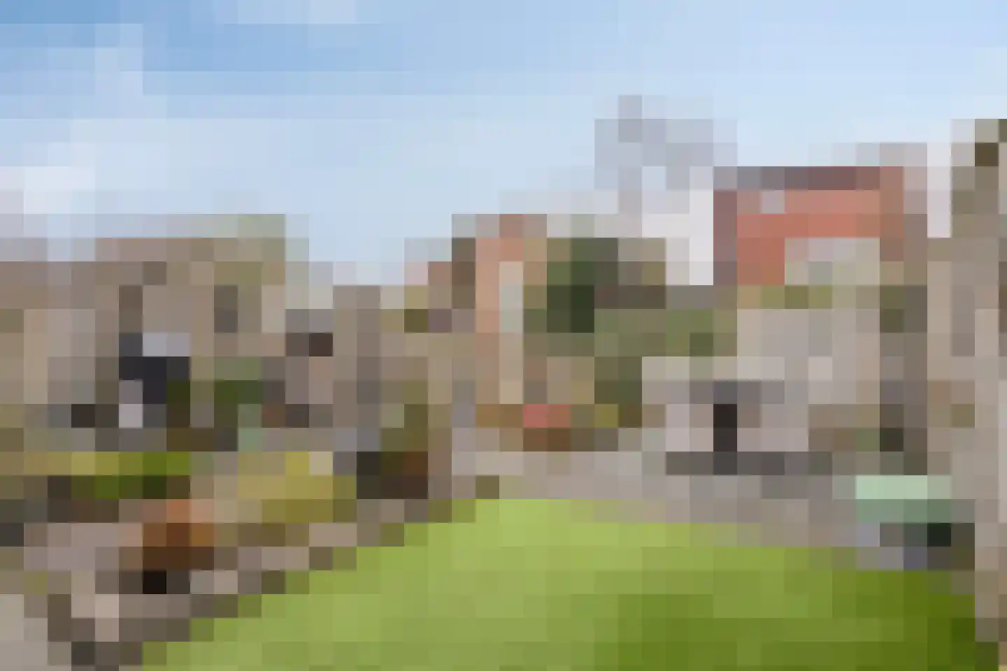 Zuidwijkring 177 Heerhugowaard thumbnail 46