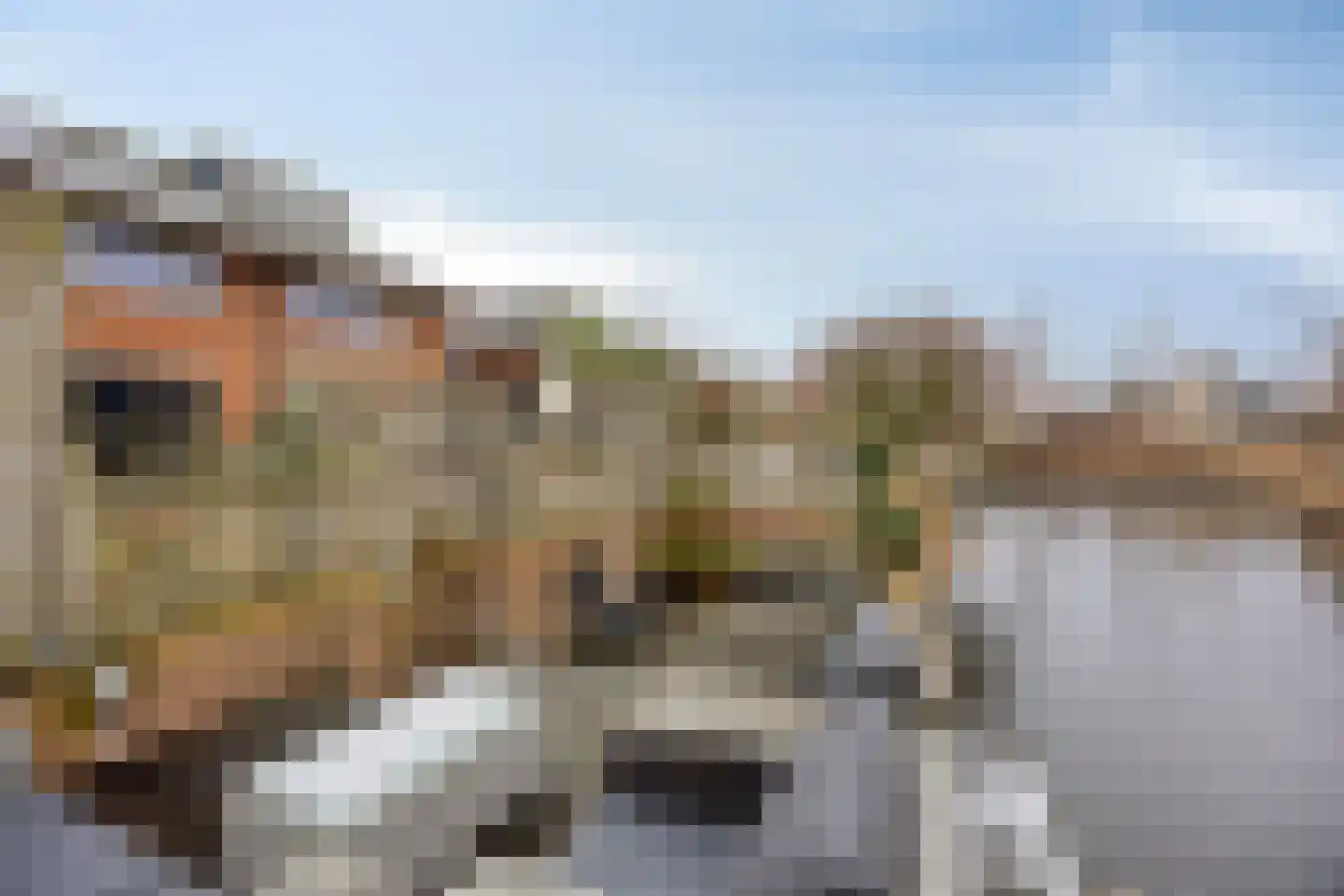 Zuidwijkring 177 Heerhugowaard thumbnail 6