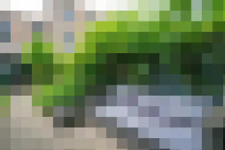 Zuidwijkring 190 Heerhugowaard thumbnail 32