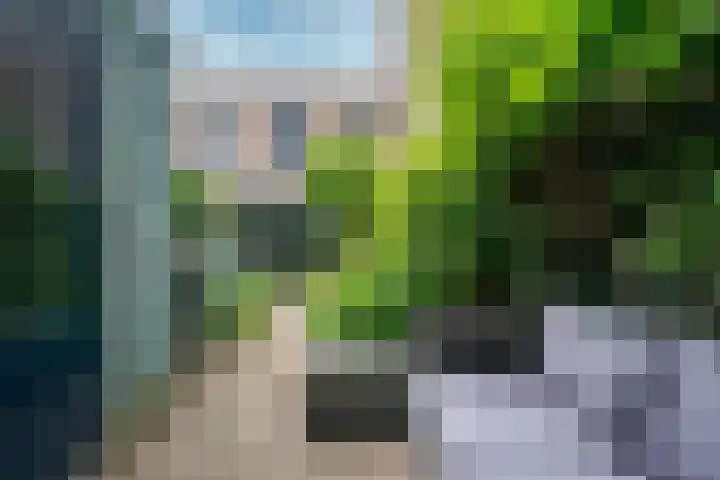 Zuidwijkring 190 Heerhugowaard thumbnail 33