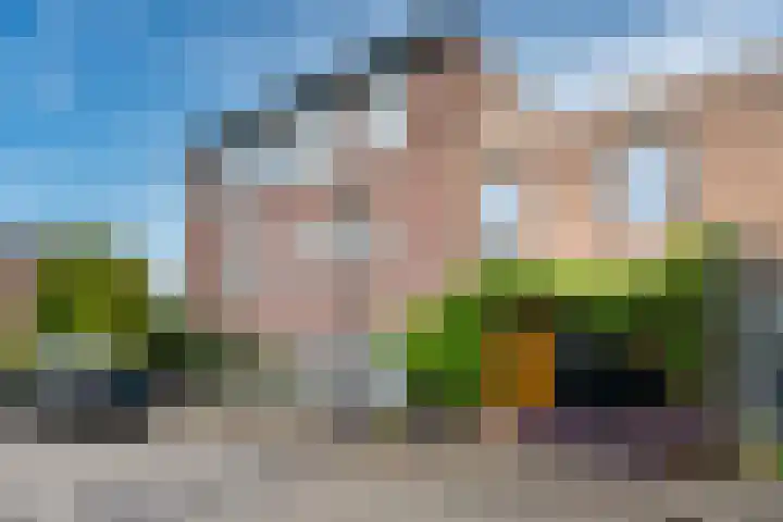 Zuidwijkring 190 Heerhugowaard thumbnail 36