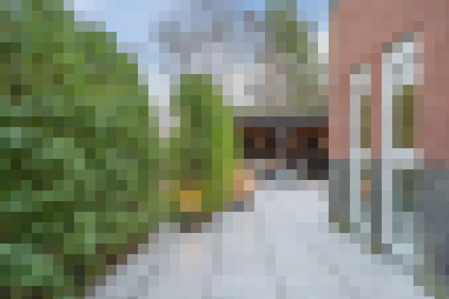 Zuidwijkring 194 Heerhugowaard thumbnail 42