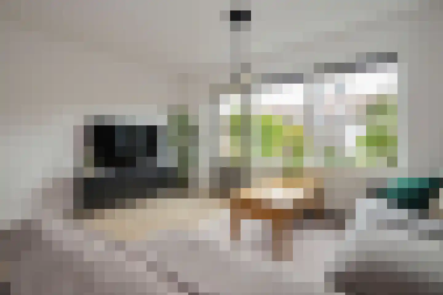 Zuidwijkring 214 Heerhugowaard thumbnail 11