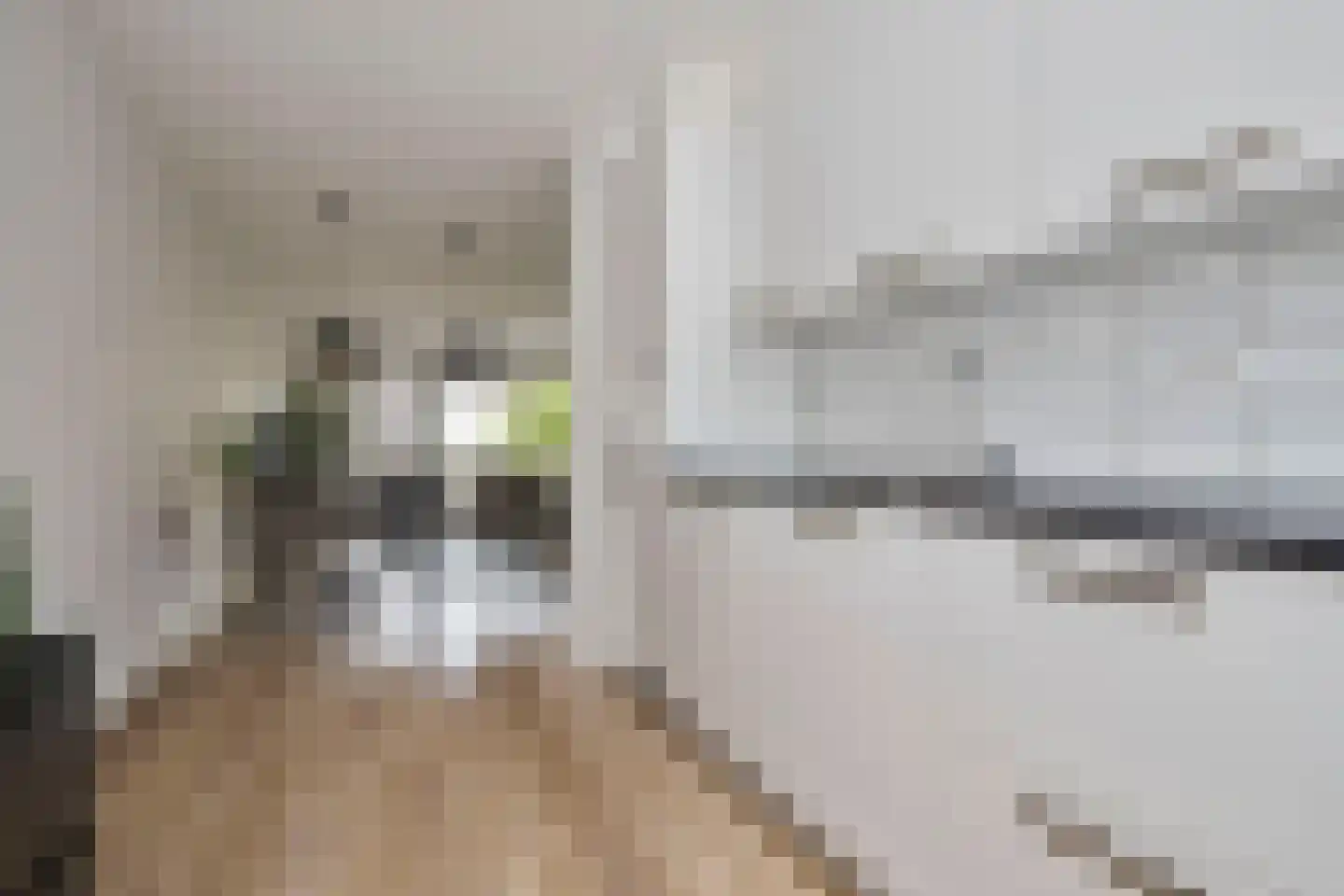 Zuidwijkring 214 Heerhugowaard thumbnail 14