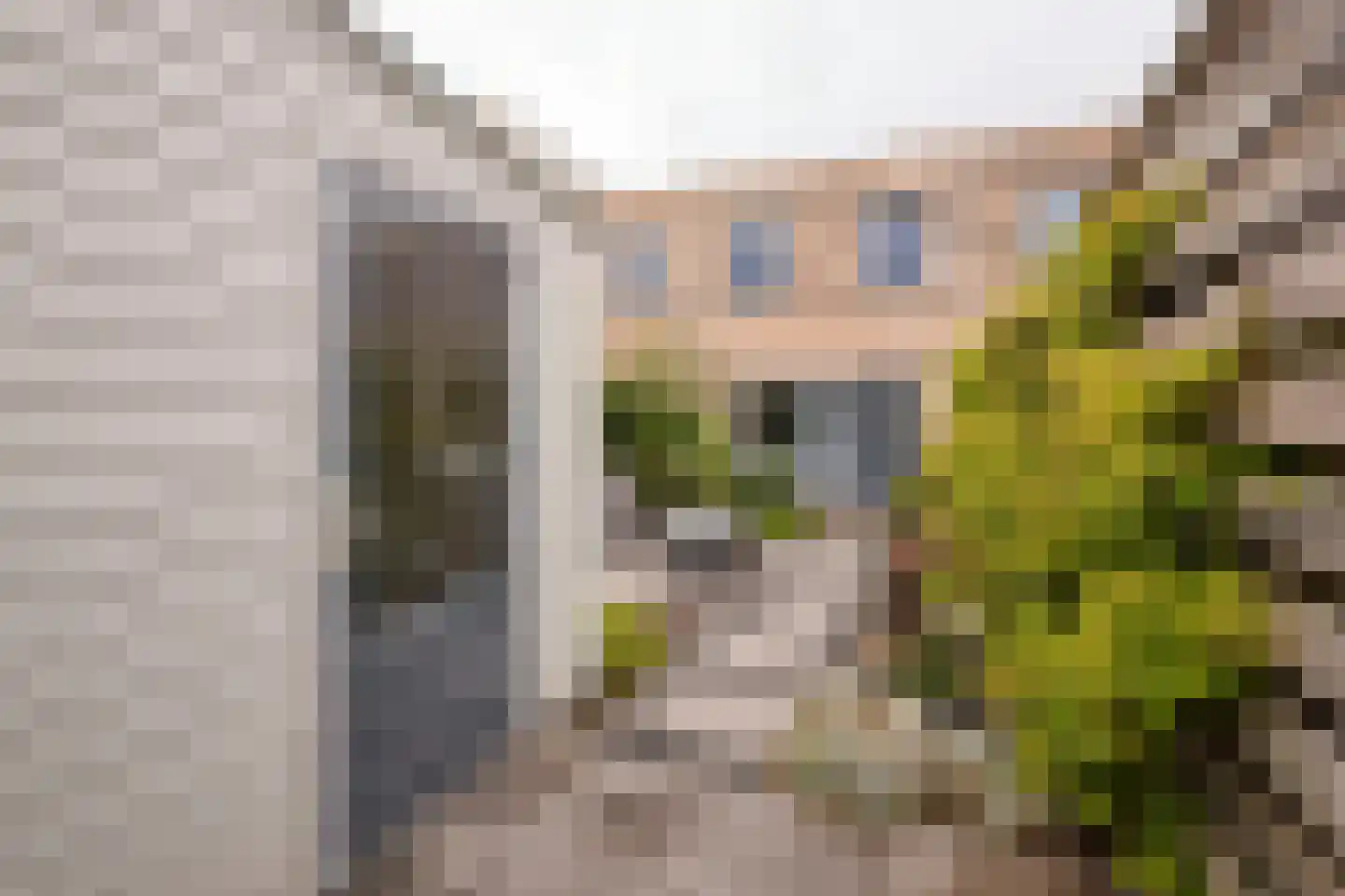Zuidwijkring 214 Heerhugowaard thumbnail 37