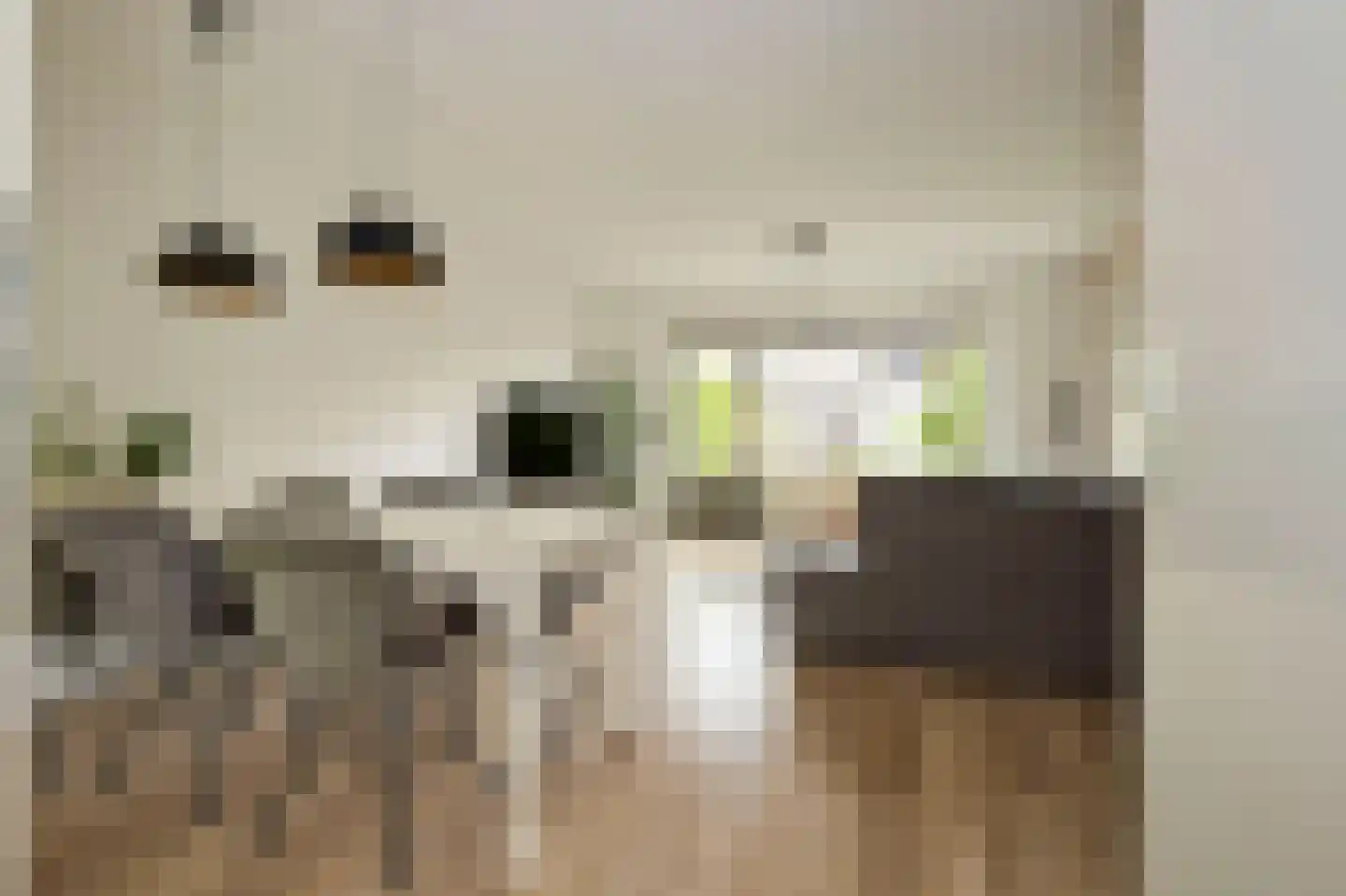 Zuidwijkring 214 Heerhugowaard thumbnail 8