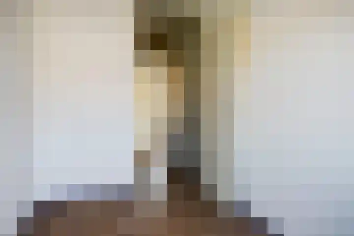 Zuidwijkring 3 Heerhugowaard thumbnail 12