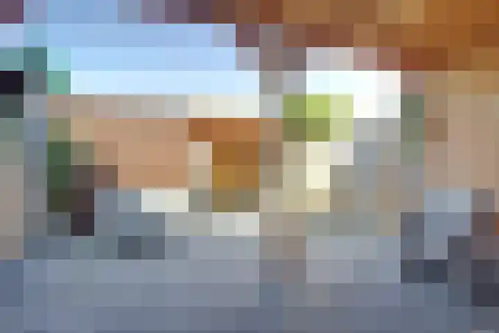 Zuidwijkring 3 Heerhugowaard thumbnail 23