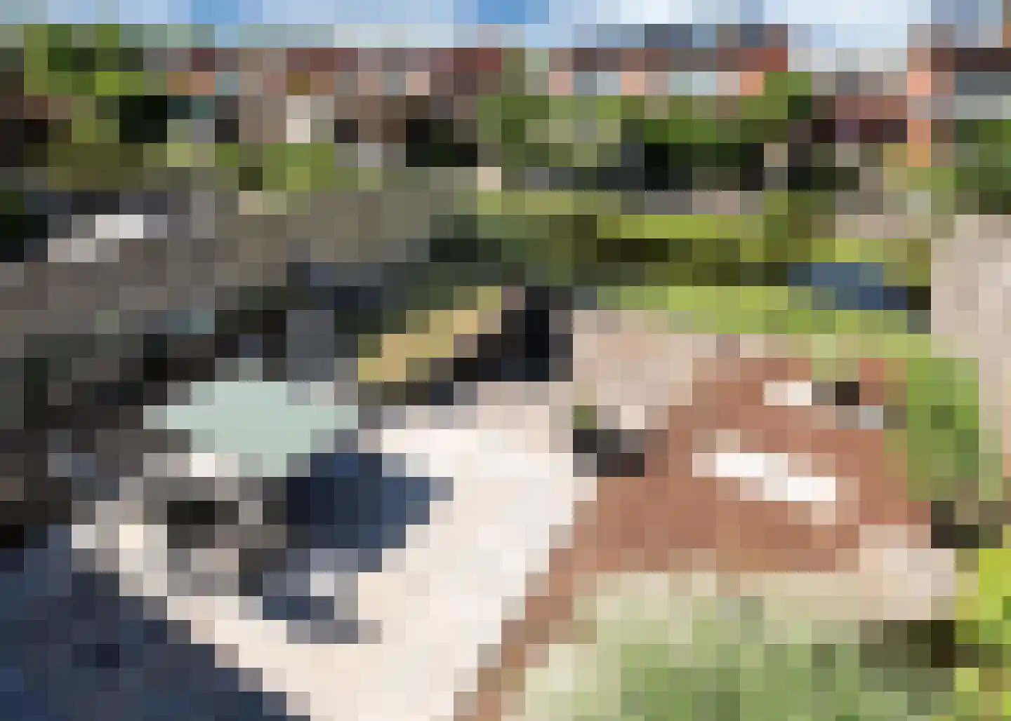 Zuidwijkring 75 Heerhugowaard thumbnail 25