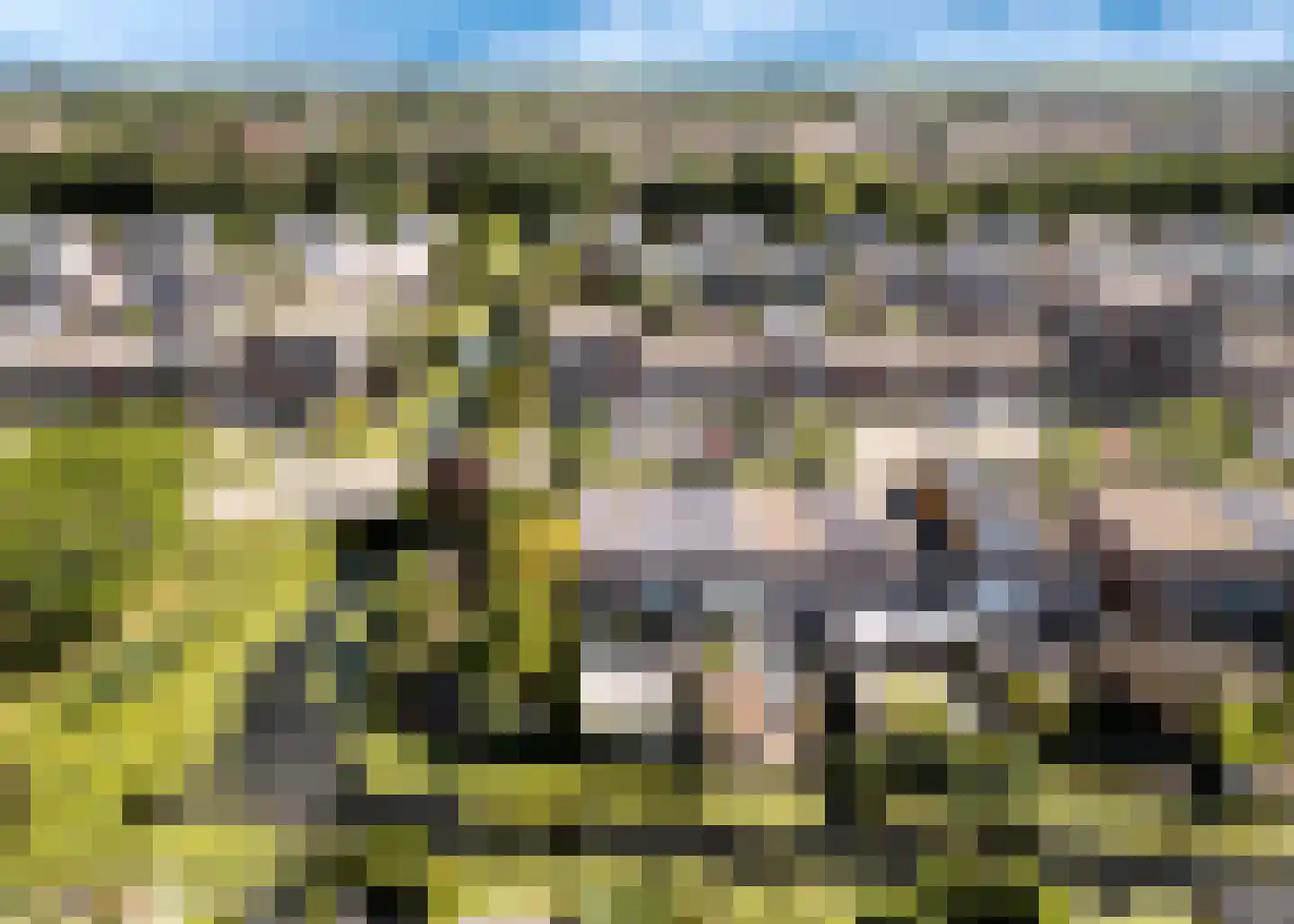 Zuidwijkring 75 Heerhugowaard thumbnail 35