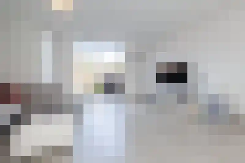 Zuidwijkstraat 108 Zoetermeer thumbnail 9