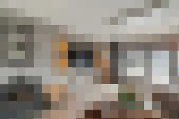 Zuidwind 24 's-Gravenzande thumbnail 12