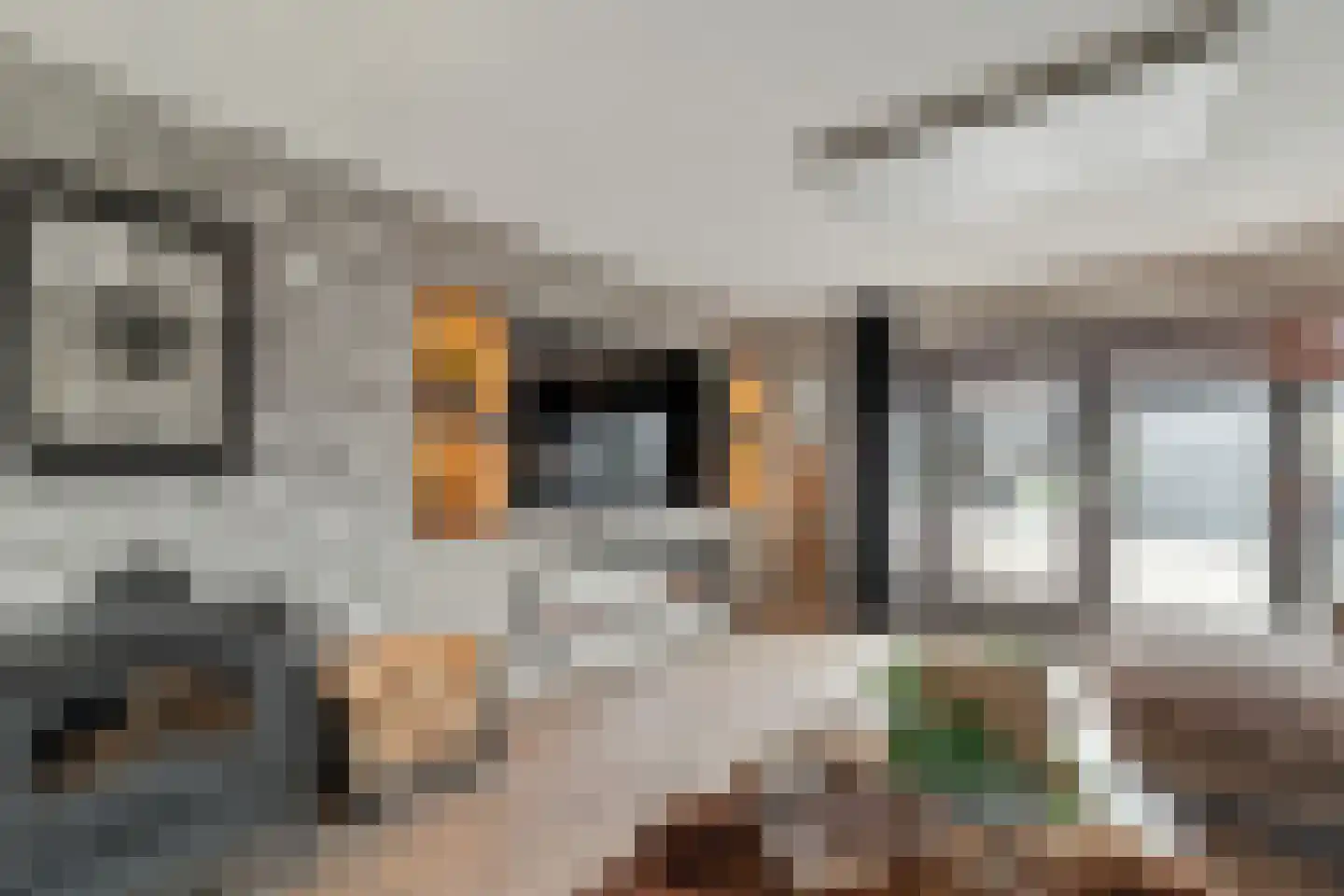 Zuidwind 24 's-Gravenzande thumbnail 12