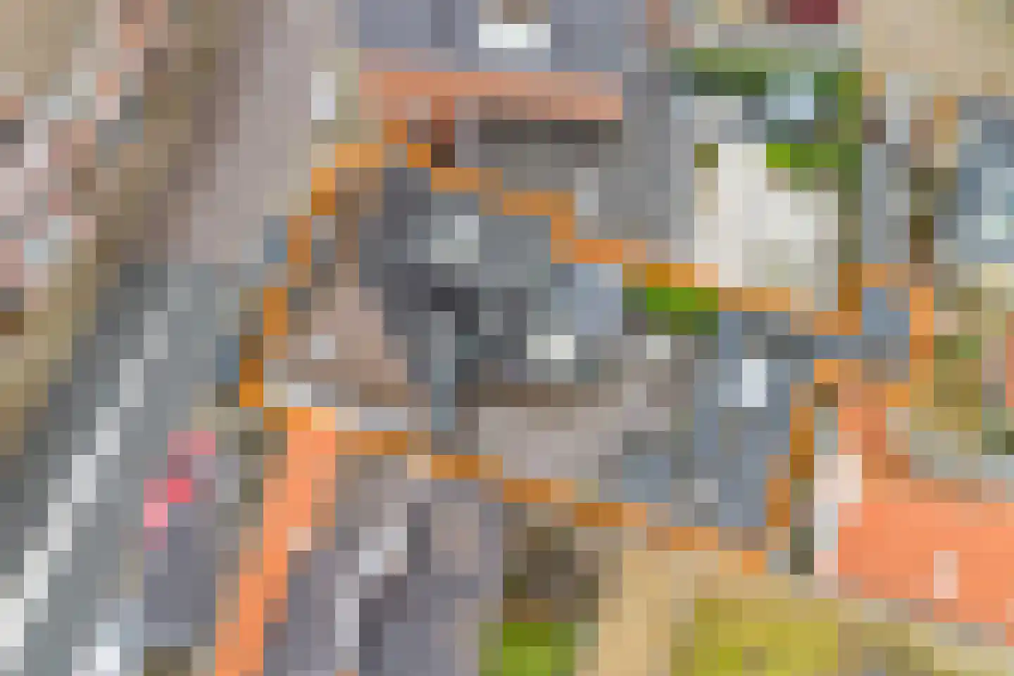 Zuidwind 24 's-Gravenzande thumbnail 4