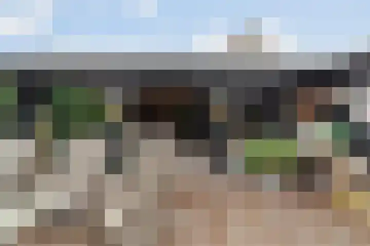 Zuidwind 24 's-Gravenzande thumbnail 42