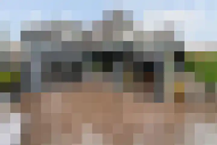 Zuidwind 24 's-Gravenzande thumbnail 47