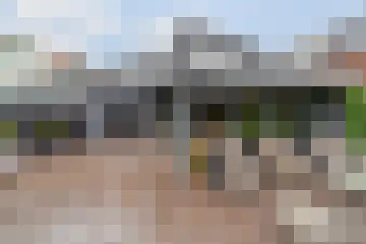 Zuidwind 24 's-Gravenzande thumbnail 48