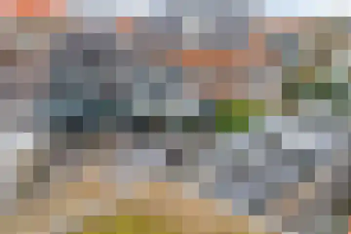 Zuidwind 24 's-Gravenzande thumbnail 49