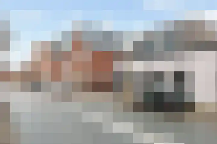 Zuidwind 24 's-Gravenzande thumbnail 50
