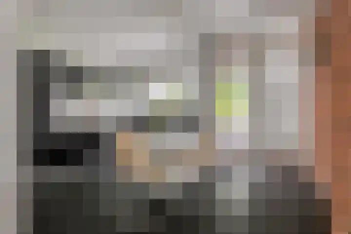 Zuidwinde 6 Steenbergen thumbnail 18