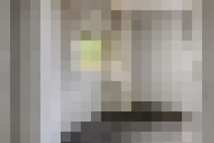 Zuidwinde 6 Steenbergen thumbnail 33