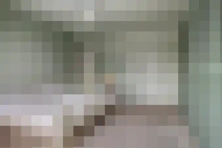 Zuidwinde 6 Steenbergen thumbnail 37