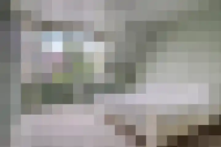 Zuidwinde 6 Steenbergen thumbnail 38