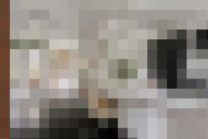 Zuidwinde 6 Steenbergen thumbnail 5
