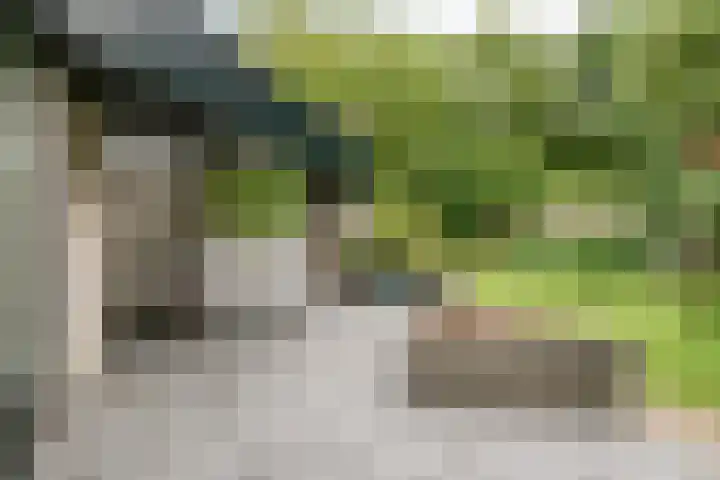 Zuidwinde 6 Steenbergen thumbnail 62