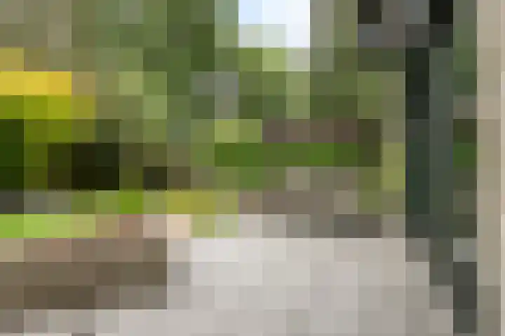 Zuidwinde 6 Steenbergen thumbnail 63