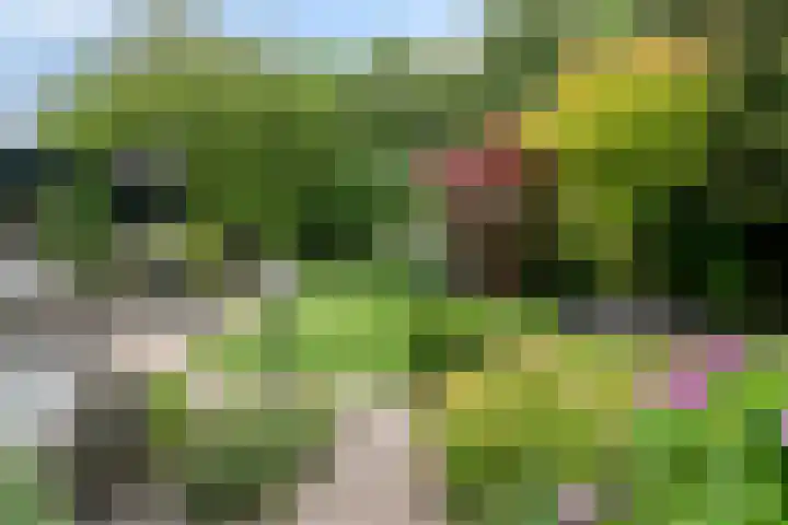 Zuidwinde 6 Steenbergen thumbnail 65