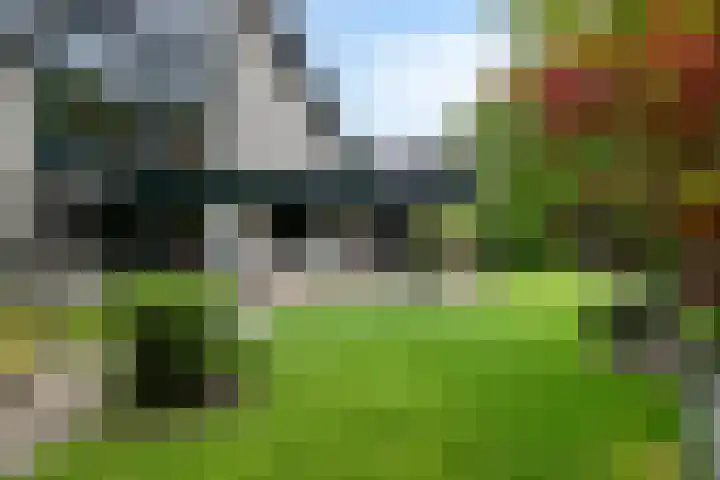 Zuidwinde 6 Steenbergen thumbnail 66