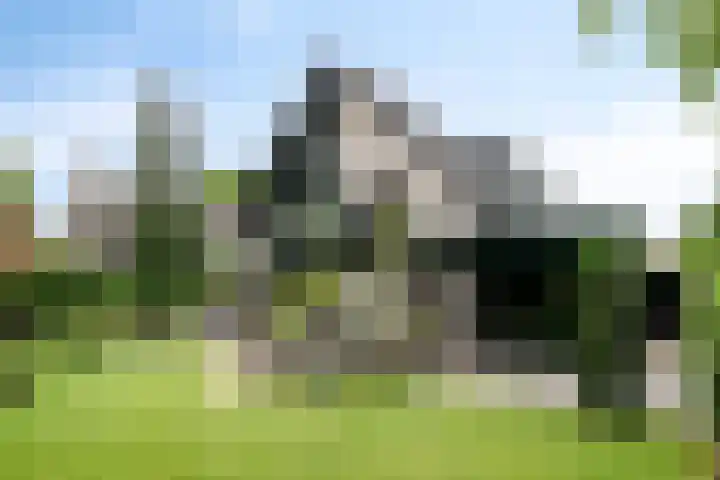 Zuidwinde 6 Steenbergen thumbnail 67